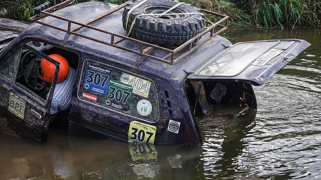 期提供了丰 期提供了丰