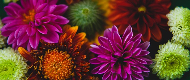 引入拉文势 引入拉文势