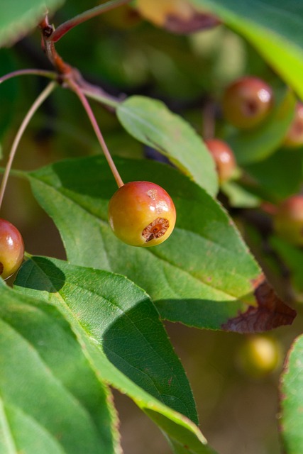 无法磨灭的 无法磨灭的