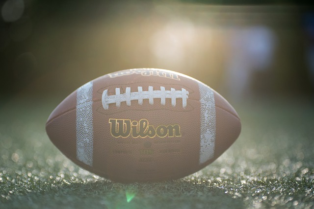 的重要原因 的重要原因