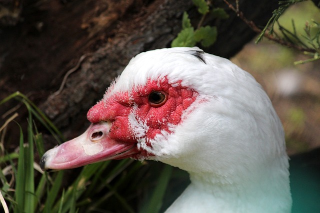 即使在国际 即使在国际