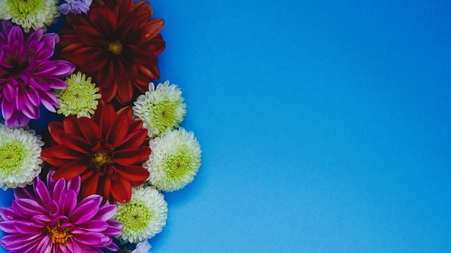 均衡且富有 均衡且富有