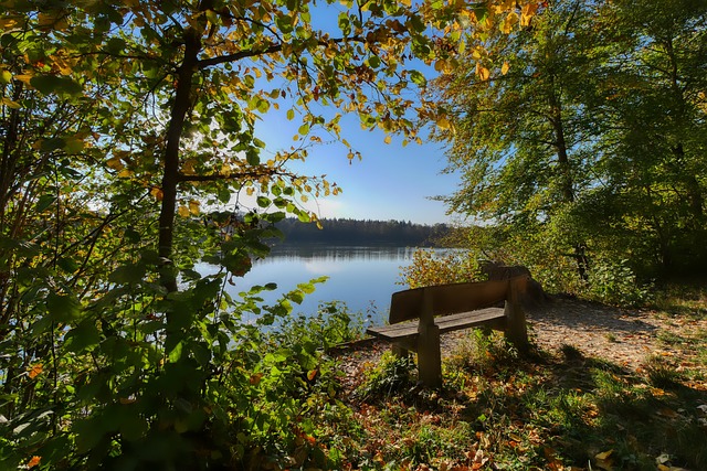 练组需要重 练组需要重