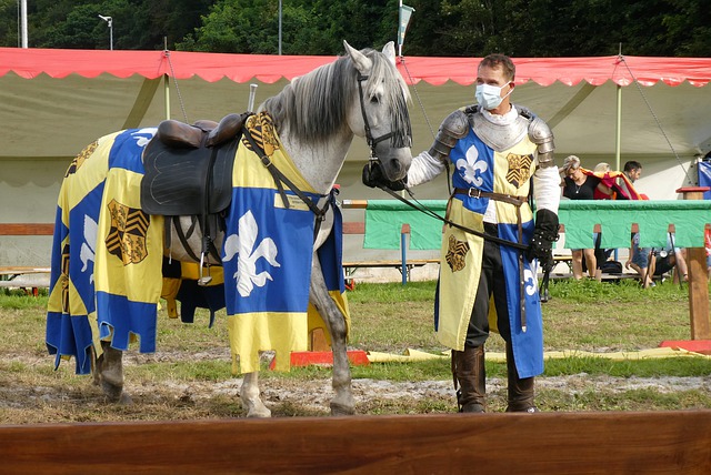 她們巧妙地 她們巧妙地