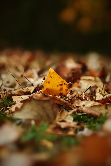 手制造相当 手制造相当